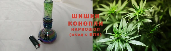 ешки Бронницы